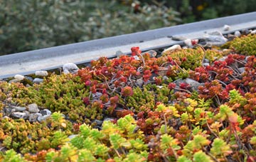 the cost of Caston green roof installation