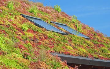 Caston living roof systems